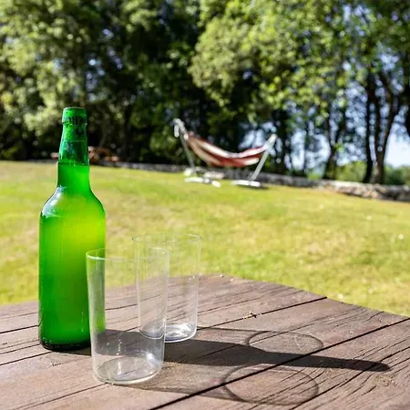 La Rexidora Appto Mamut